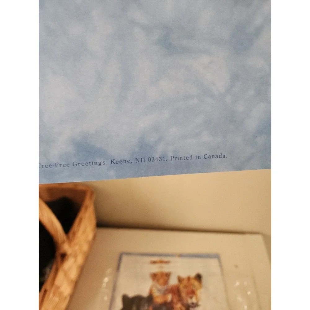 Tree Free Greetings Jumbo Card Jenny Newland Mother's Pride 11x14 Envelope Lot 4